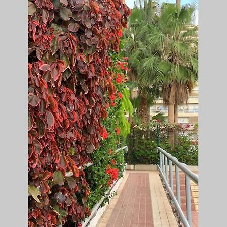 Ferienwohnung Jardines Del Sur, Ocean View Buzanada Exterior foto